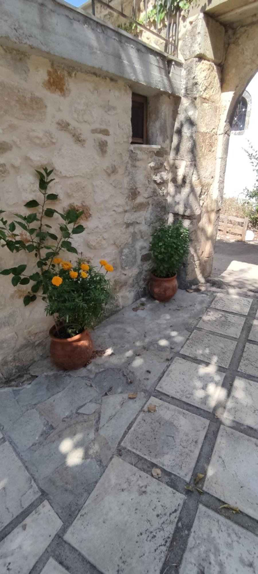 Villa Sofita With Tzakouzi Maroulás エクステリア 写真